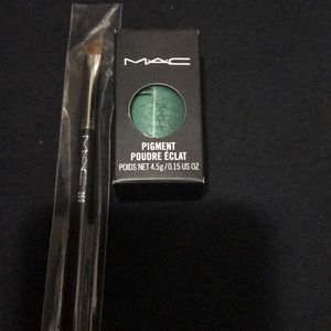 Brush & Pigment bundle